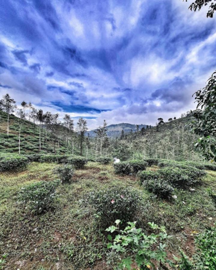 Noah'S Nest Tree House Lägenhet Thekkady Exteriör bild