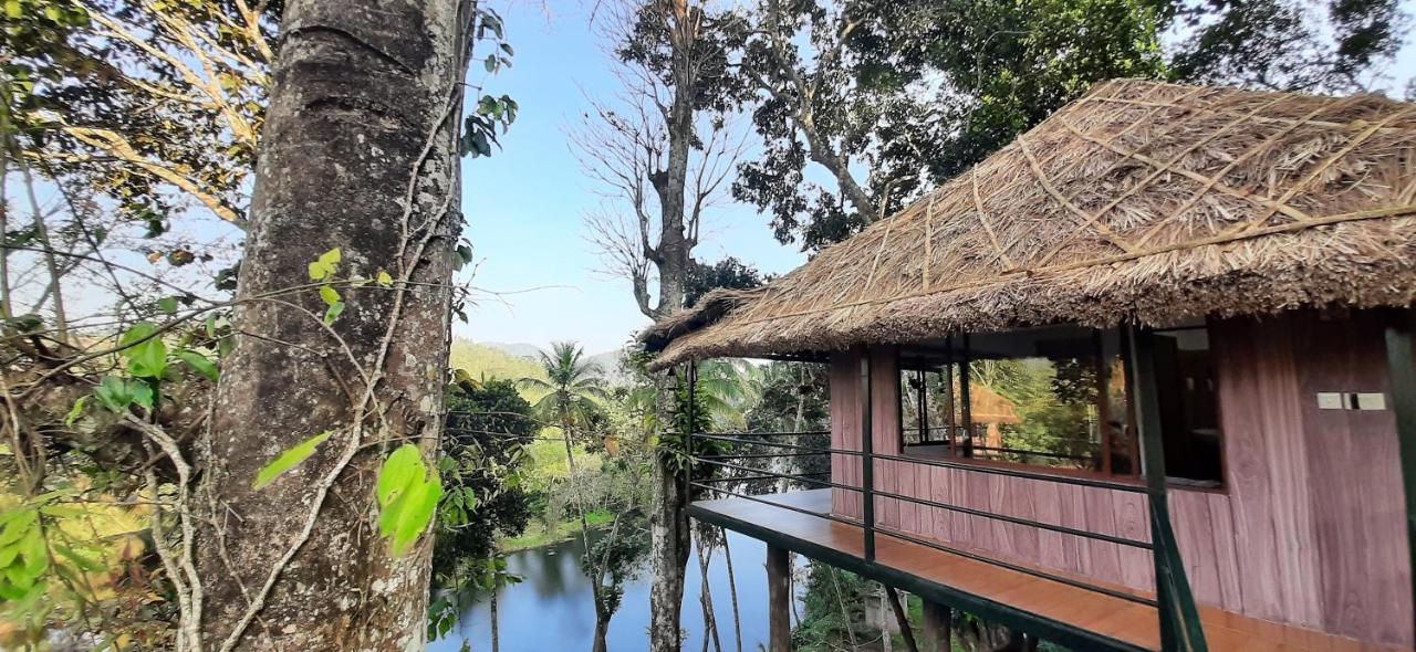 Noah'S Nest Tree House Lägenhet Thekkady Exteriör bild