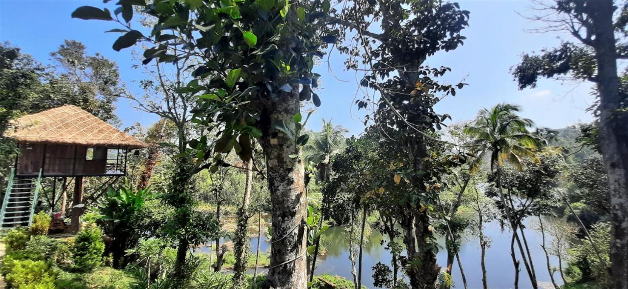 Noah'S Nest Tree House Lägenhet Thekkady Exteriör bild