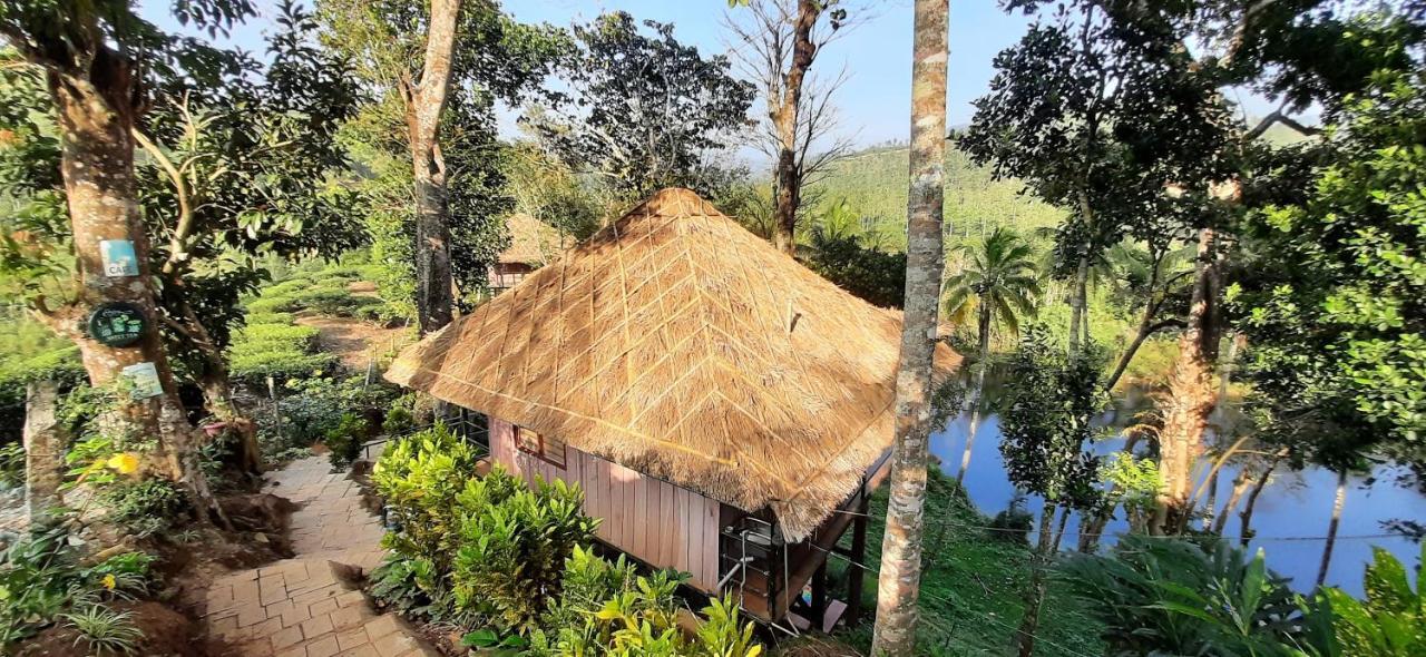 Noah'S Nest Tree House Lägenhet Thekkady Exteriör bild