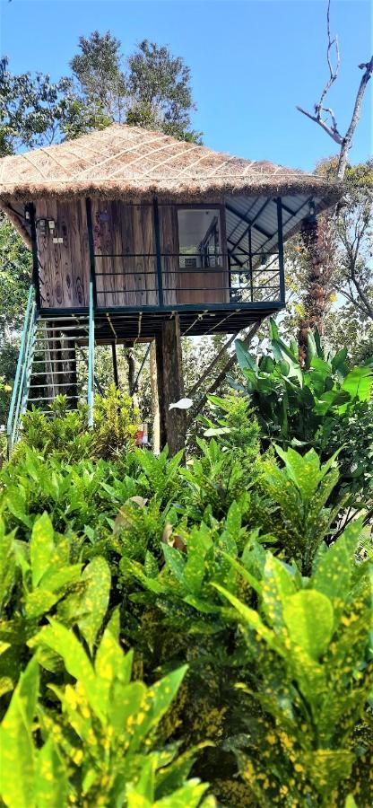 Noah'S Nest Tree House Lägenhet Thekkady Exteriör bild