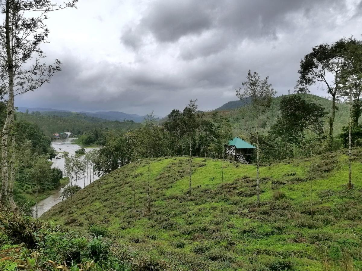 Noah'S Nest Tree House Lägenhet Thekkady Exteriör bild