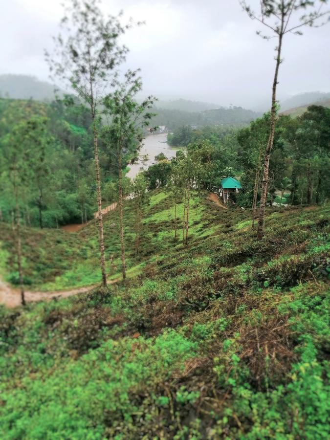 Noah'S Nest Tree House Lägenhet Thekkady Exteriör bild