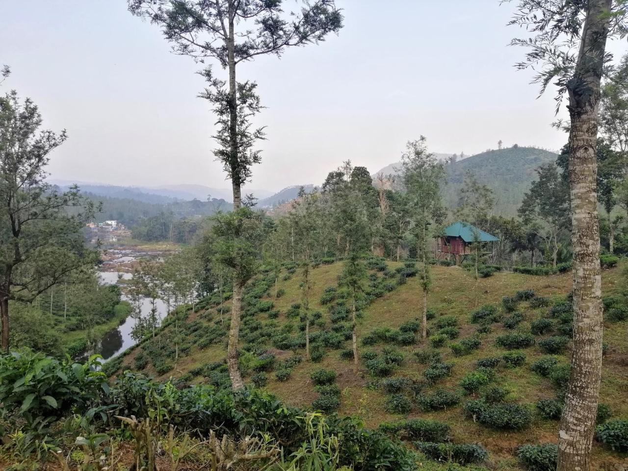 Noah'S Nest Tree House Lägenhet Thekkady Exteriör bild