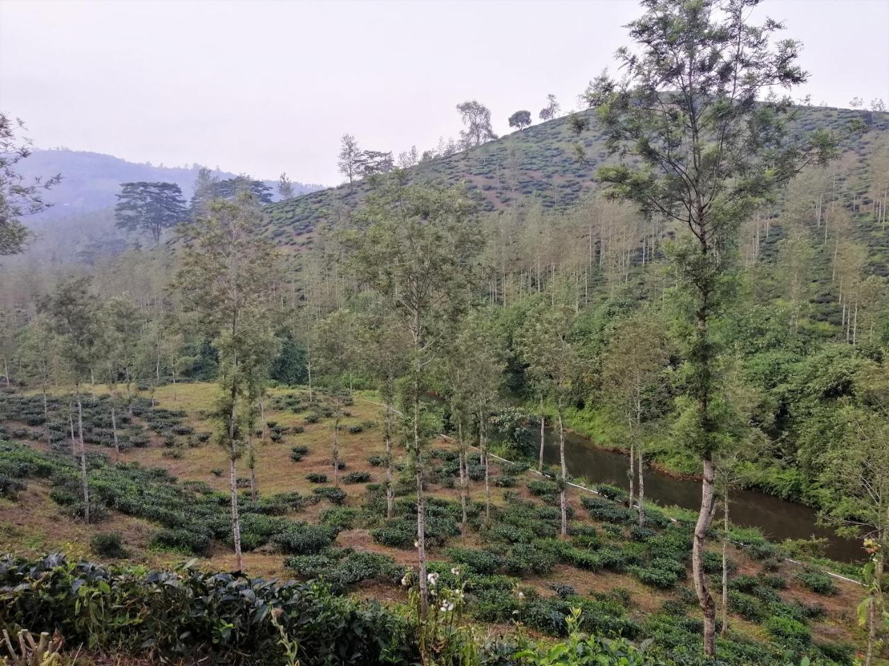 Noah'S Nest Tree House Lägenhet Thekkady Exteriör bild