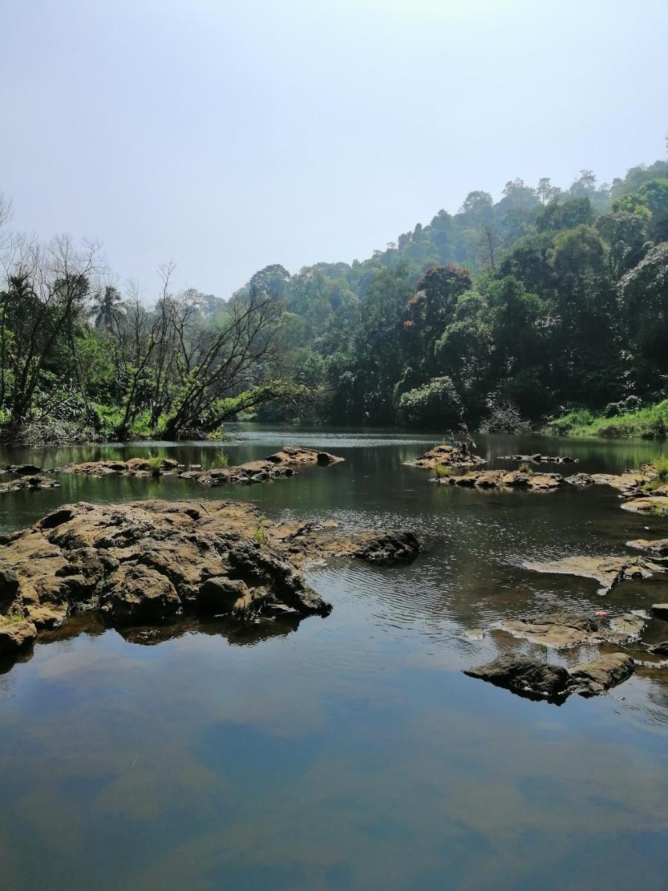 Noah'S Nest Tree House Lägenhet Thekkady Exteriör bild