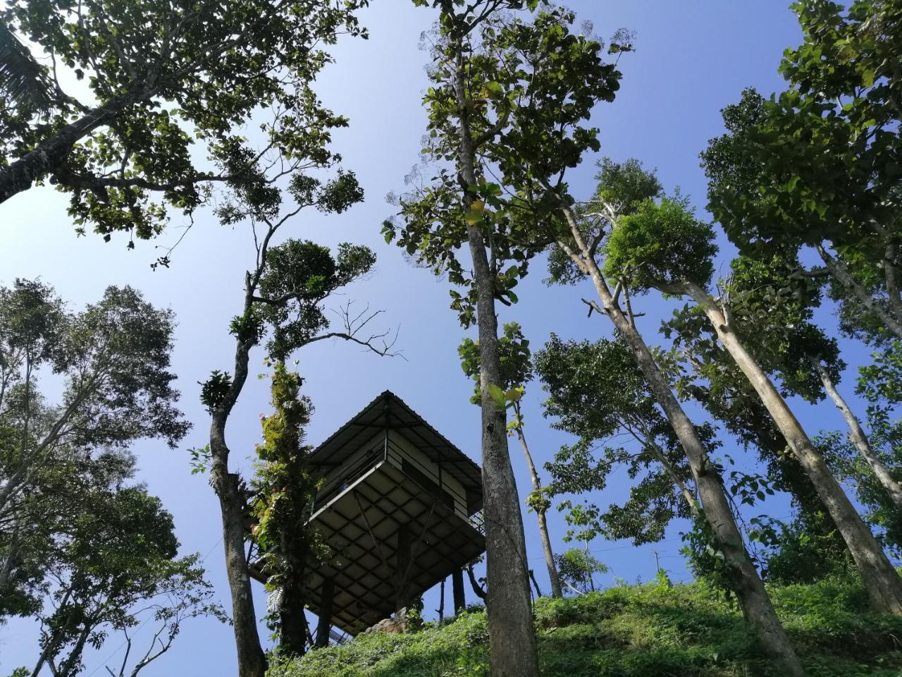 Noah'S Nest Tree House Lägenhet Thekkady Exteriör bild