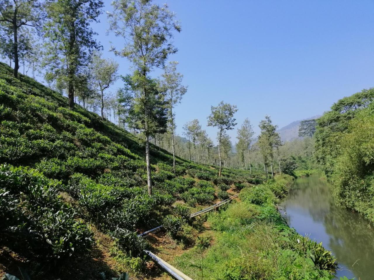 Noah'S Nest Tree House Lägenhet Thekkady Exteriör bild